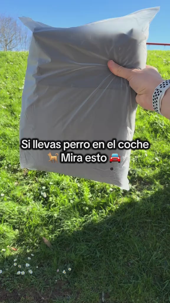 Cargar video: 