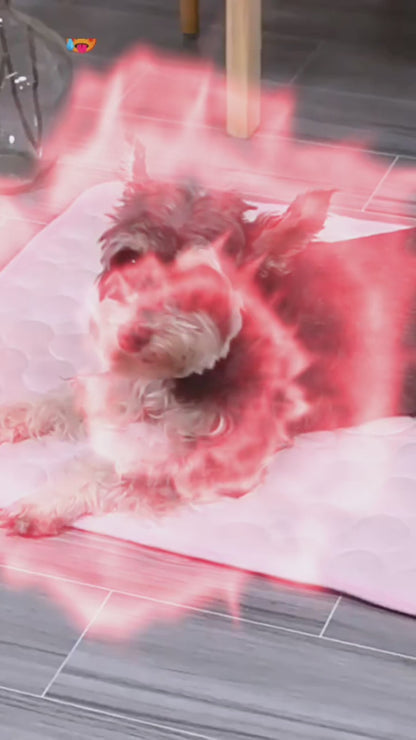 Breathable & Washable Cooling Pet Mat for Dogs and Cats - Ideal for Beds, Sofas, and Cars